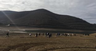 Disa qytetarë janë organizuar sot vullnetarisht dhe kanë pastruar Liqenin e Badovcit nga i cili furnizohet më ujë Prishtina