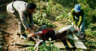 19 vjet nga masakra ndaj familjes Deliu në Abri të Drenasit