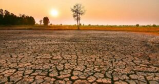 OKB-ja paralajmëron gjithë botën lidhur me e El Ninos, fenomeni i motit që shkakton temperatura më të larta globale