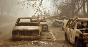 31 persona kanë vdekur si pasojë e zjarreve të pyjeve në Kaliforni, derisa edhe 200 të tjerë janë ende të zhdukur