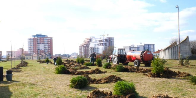 Aktivitete nga Aksioni rajonal i mbjelljes së pemëve si pjesë e përpjekjeve për ajër më të pastër “Pema e Miqësisë”