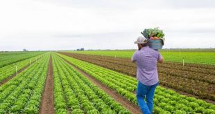 MBPZHR i fton fermerët dhe agro-përpunuesit që të vazhdojnë me punën e tyre në implementimin e projekteve të granteve