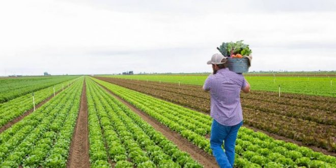 MBPZHR i fton fermerët dhe agro-përpunuesit që të vazhdojnë me punën e tyre në implementimin e projekteve të granteve